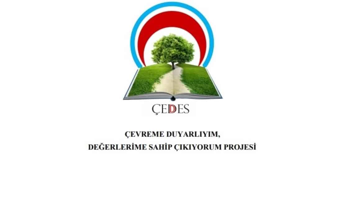 ÇEDES Projesi Kapsamında 4. Sınıf Öğrencilerimiz Örenönü Camisini Ziyaret Ettiler